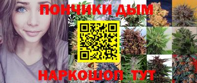 ГАЛЛЮЦИНОГЕННЫЕ ГРИБЫ Аргун