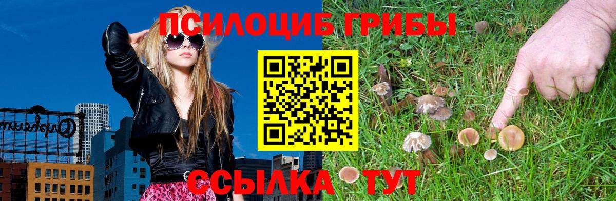 Псилоцибиновые грибы мухоморы Владикавказ