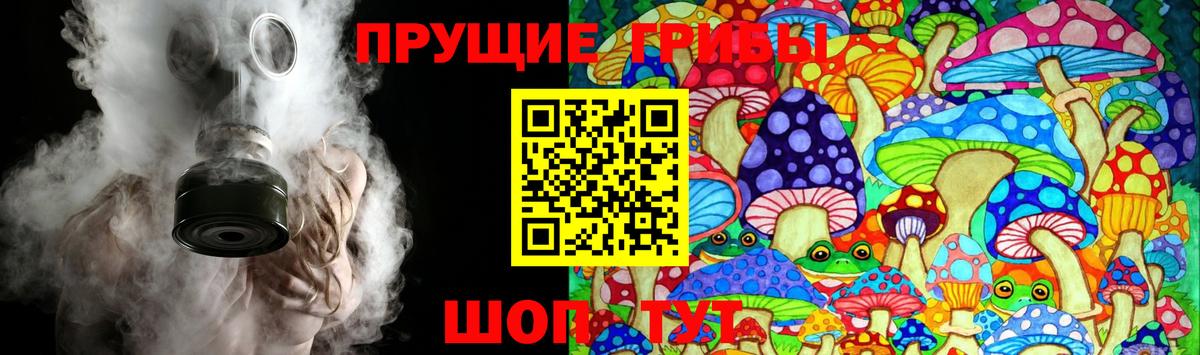 Галлюциногенные грибы Psilocybine cubensis  Вход с VPN  Владикавказ  Псилоцибиновые грибы прущие грибы 